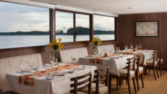 Manatee Amazon Explorer