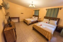 NIC_OmetepeIsland_CharcoVerde (4)