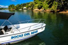 bocas del mar