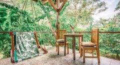 PAN_Hummingbird_CasaPorch2