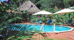 The Hummingbird swimming pool