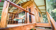 PAN_Hummingbird_Porch