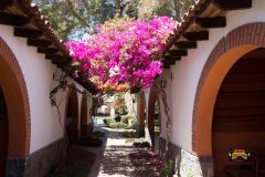 Hacienda Boutique and Resort Majoro
