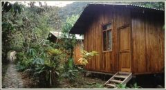 cock of the rock lodge