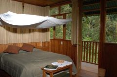 cock of the rock lodge