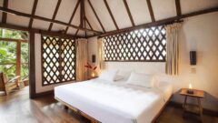 Guest room with king bed in Peruvian Amazon South, Hacienda Concepcion