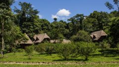 PER_ThePeruvianAmazonSouth_ManuLearningCentre (3)