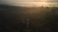 PER_ThePeruvianAmazonSouth_PosadaAmazonas (2)