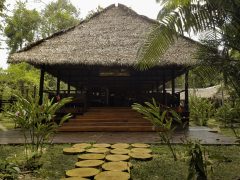 PER_ThePeruvianAmazonSouth_PosadaAmazonas (3)