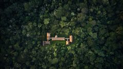 PER_PeruvianAmazonSouth_TambopataResearchCentre (2)