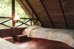 PER_ThePeruvianAmazon_PampaHermosaEcolodge (1)
