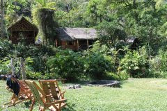 PER_ThePeruvianAmazon_PampaHermosaEcolodge (2)