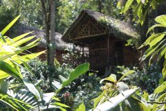 PER_ThePeruvianAmazon_PampaHermosaEcolodge (3)