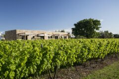 Pizzorno Lodge and Wine