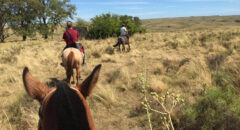 URU_LosPlatanos_RidingExcursion