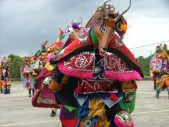 LatAm_LodgeBigFalls_QuirkyFestivals_Free