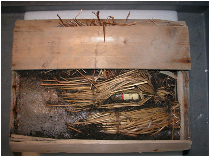 Original cases of Mackinlays Rare Old Highland Malt Whisky after their discovery in 2007 (3) Original cases of Mackinlays Rare Old Highland Malt Whisky after their discovery in 2007 (3)