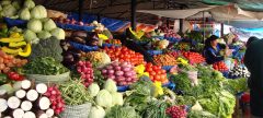 BOLIVIAN FRUIT AND VEGETABLE MARKET
