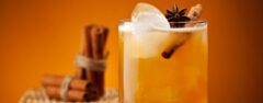 ECU_Canalazo_Spiced Rum Drink_Free_shutterstock_175302857