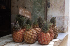 CUB_Havana_JAfree (7)