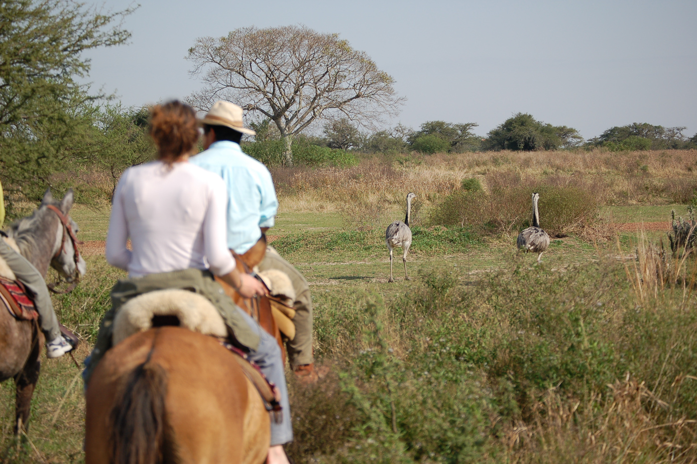 Estancia Rincon del Socorro