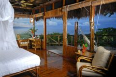 coshtl15-osa-peninsula-lapa-rios-costa-rica-free