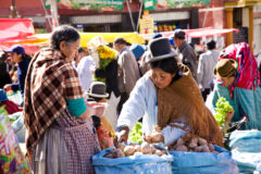 BOL_Market_IndigenousLanguagesOfTheAndes_iStock_freewithcredit