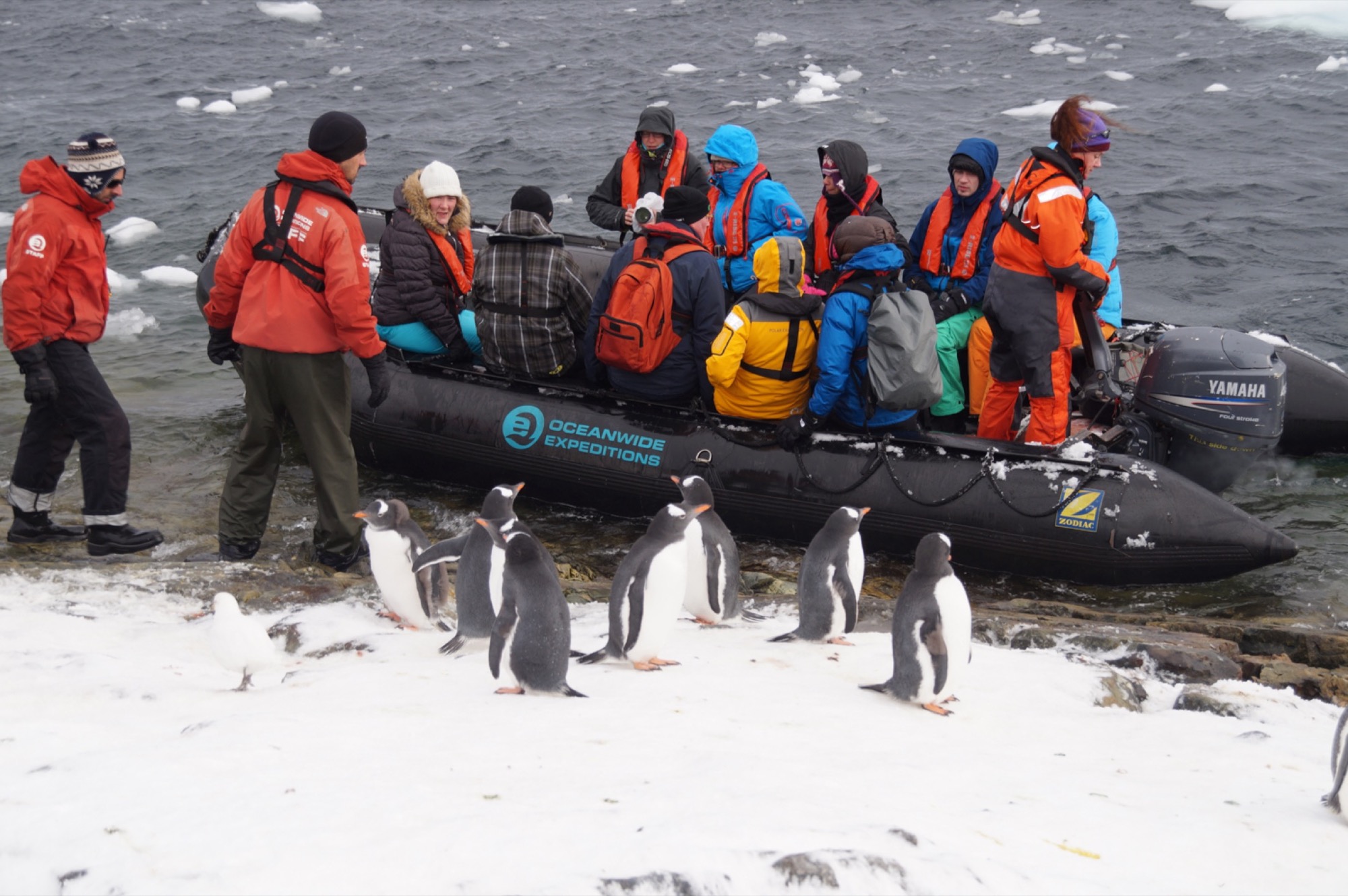 ANT_Vernadsky_ZodiacLanding_SB_free