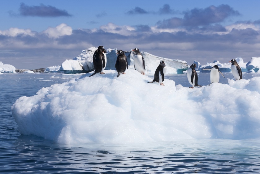 Antarctica_AntarcticCircle
