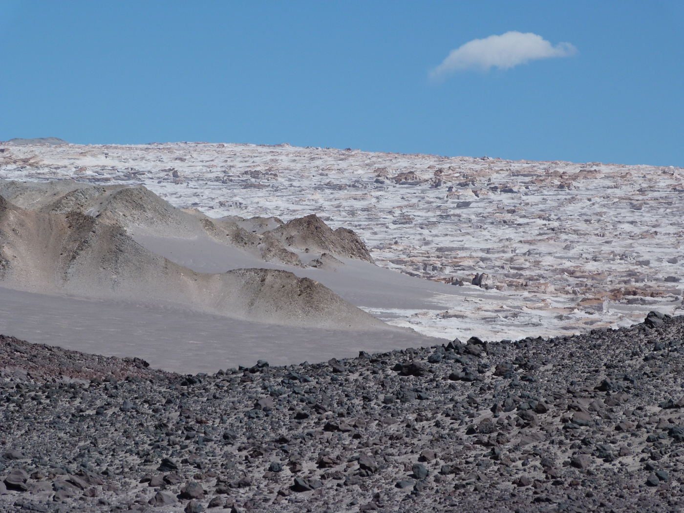 Arg_Salta_Puna_Campo_de_Piedra_Pomez_DN_Free (27)