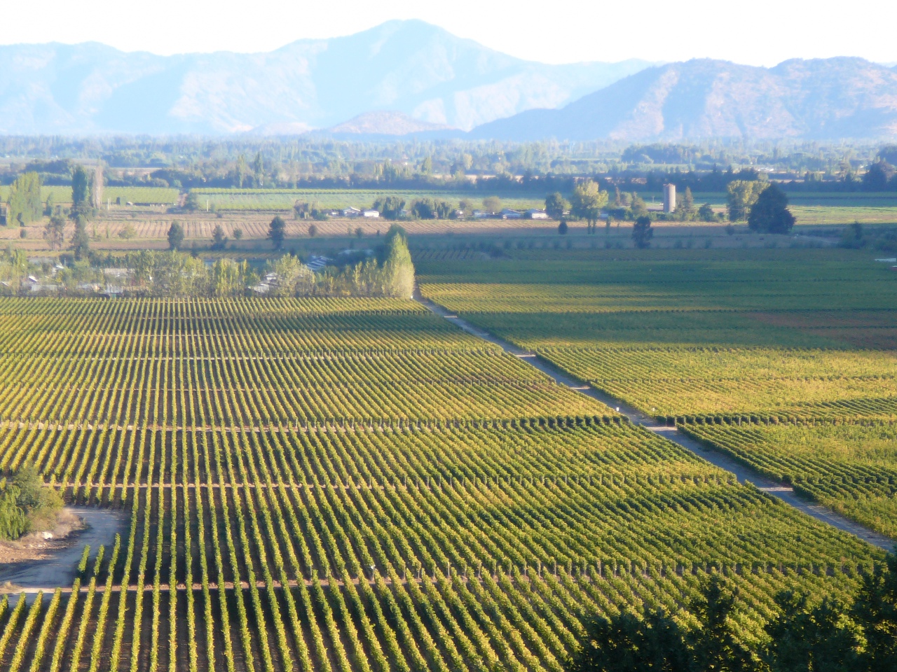 chi_colchagua_valley_dn_free