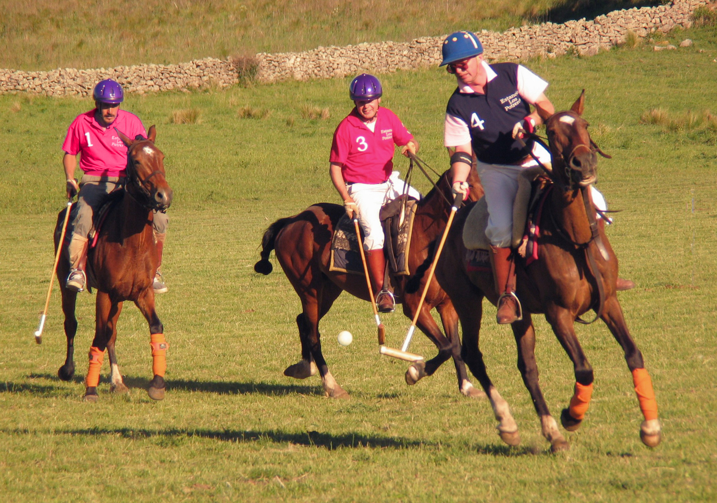 Polo Estancia Los Potreros Polo Estancia Los Potreros