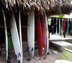 COS__PAP_SurfingImages_KM_Free (2)