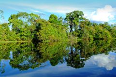 AmazonRiver_GreatRiverCrusies_FREE