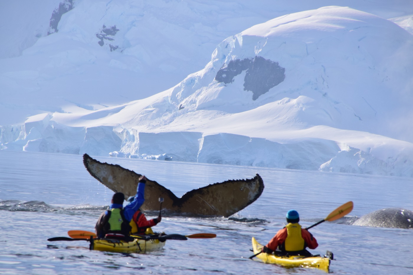 ANT_kayaking_MAN_staff