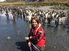 ANT_LinaFuller_LMF_free