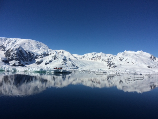 ANT_ParadiseBay_LMF_free