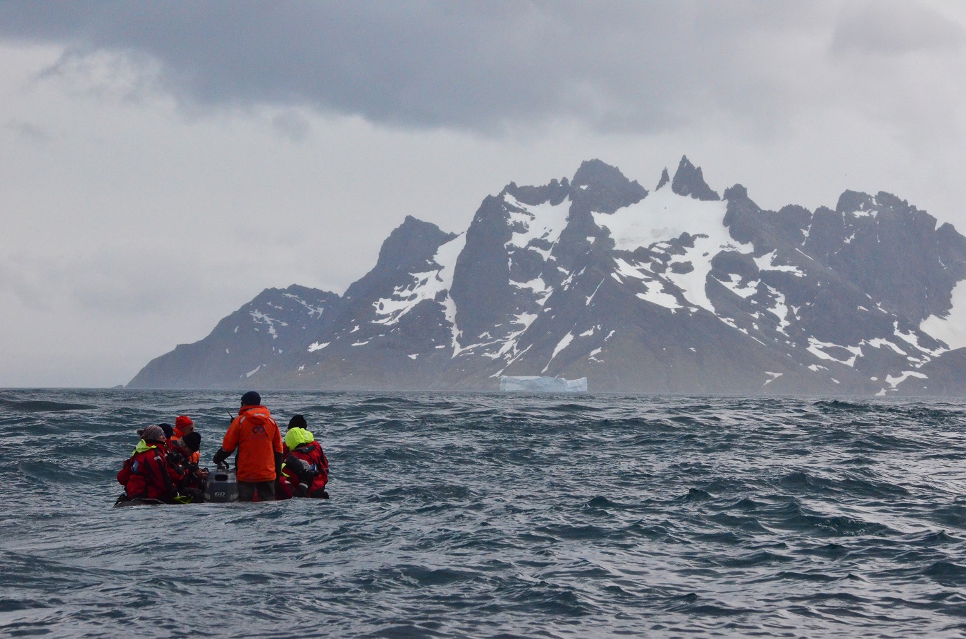 ANT_SouthGeorgia_CooperIsland_LMF_free ANT_SouthGeorgia_CooperIsland_LMF_free