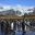 King penguins in Gold Harbour, South Georgia