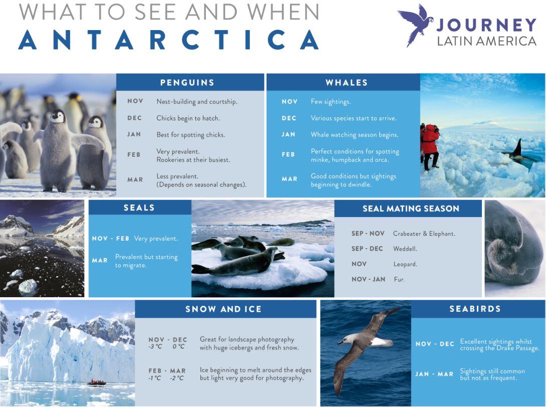 Antarctica infographic