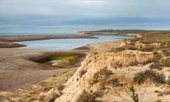 Caleta Valdes in winter