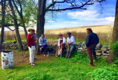 ARG_Potreros_PoloGauchos_CHT_free