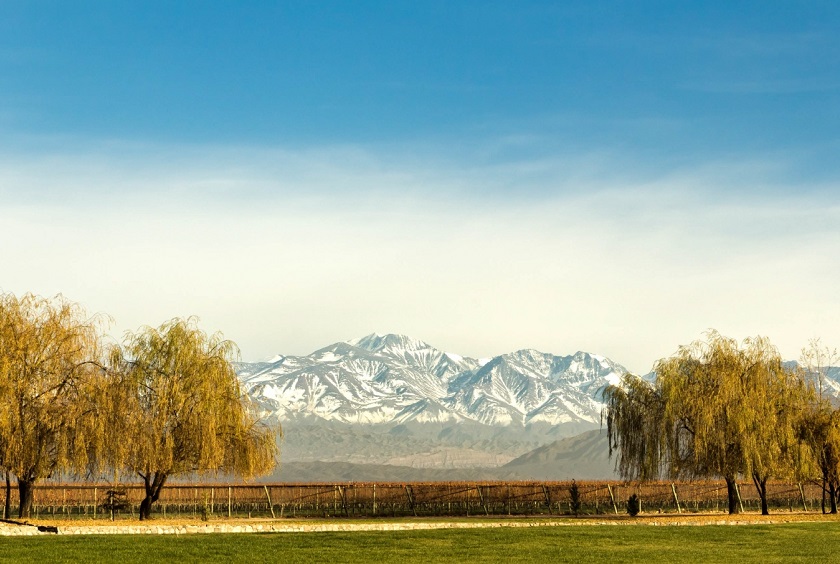 Argentina_MendozaVineyards_Mendoza_iStock