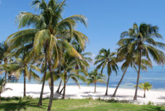 BEL_AmbergrisCaye_LRD_free