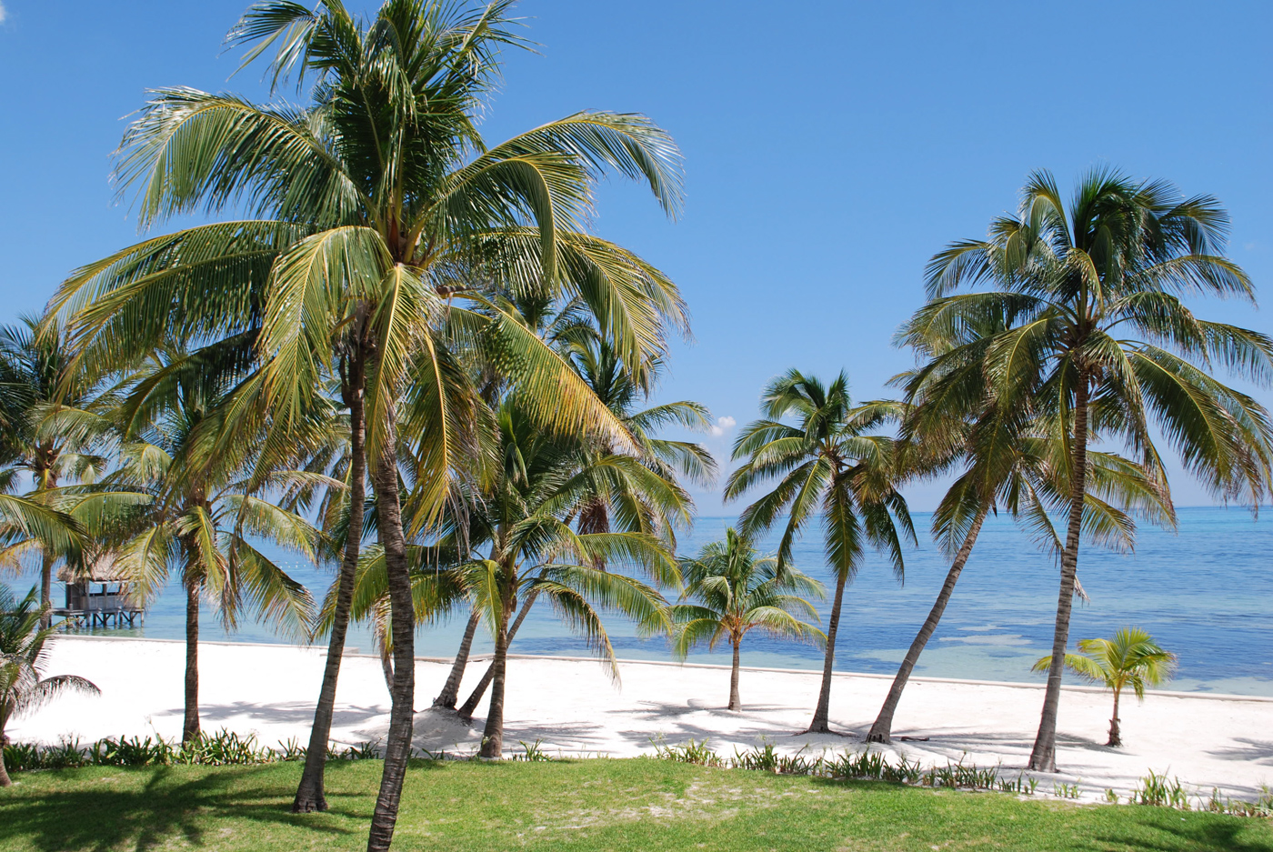 BEL_AmbergrisCaye_LRD_free