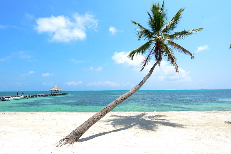 Belize_BelizanCaribbeancayesandcoast_AmbergrisCaye_VictoriaHouseResort-14