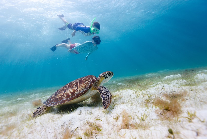 Belize_BelizanCaribbeancayesandcoast_ShutterStock-4