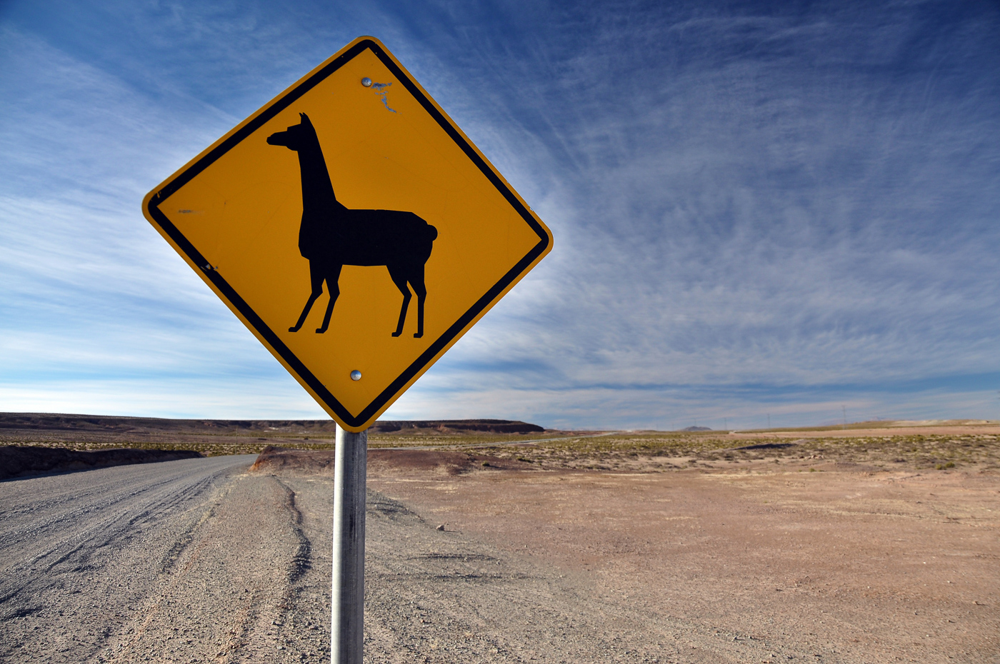 Bolivia Altiplano llama sign