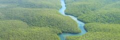 Aerial Photo of brazilian amazon