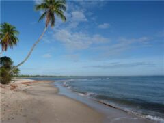 BRA_Bahia_Boipeba_DN_free (3)BRA_Bahia_Boipeba_DN_free (3)